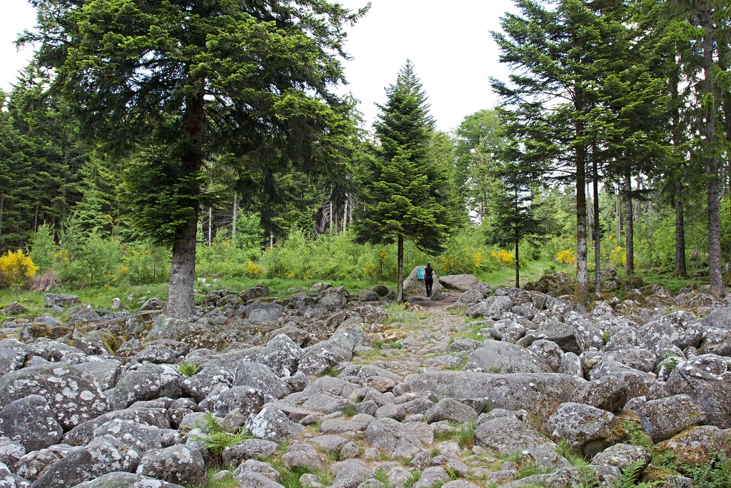 vogezen ardennen belgie frankrijk luxenburg luxembourg france belgique hdr natuur natuurgebied gebergte bergen bos bossen